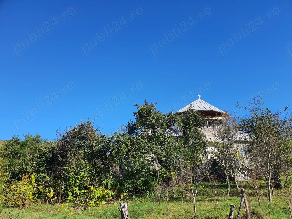 Teren 1.5 ha plus casa sat Herina jud Bistrița Nasaud