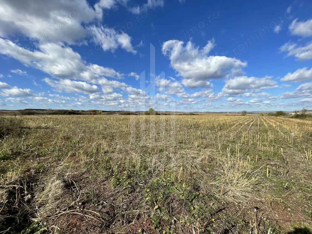 De vânzare teren intravilan – Cristian, Sibiu