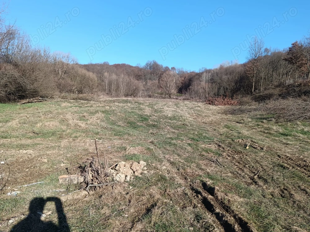 Vand 5000 mp teren intravilan, Curtea de Arges, iesire spre Valcea