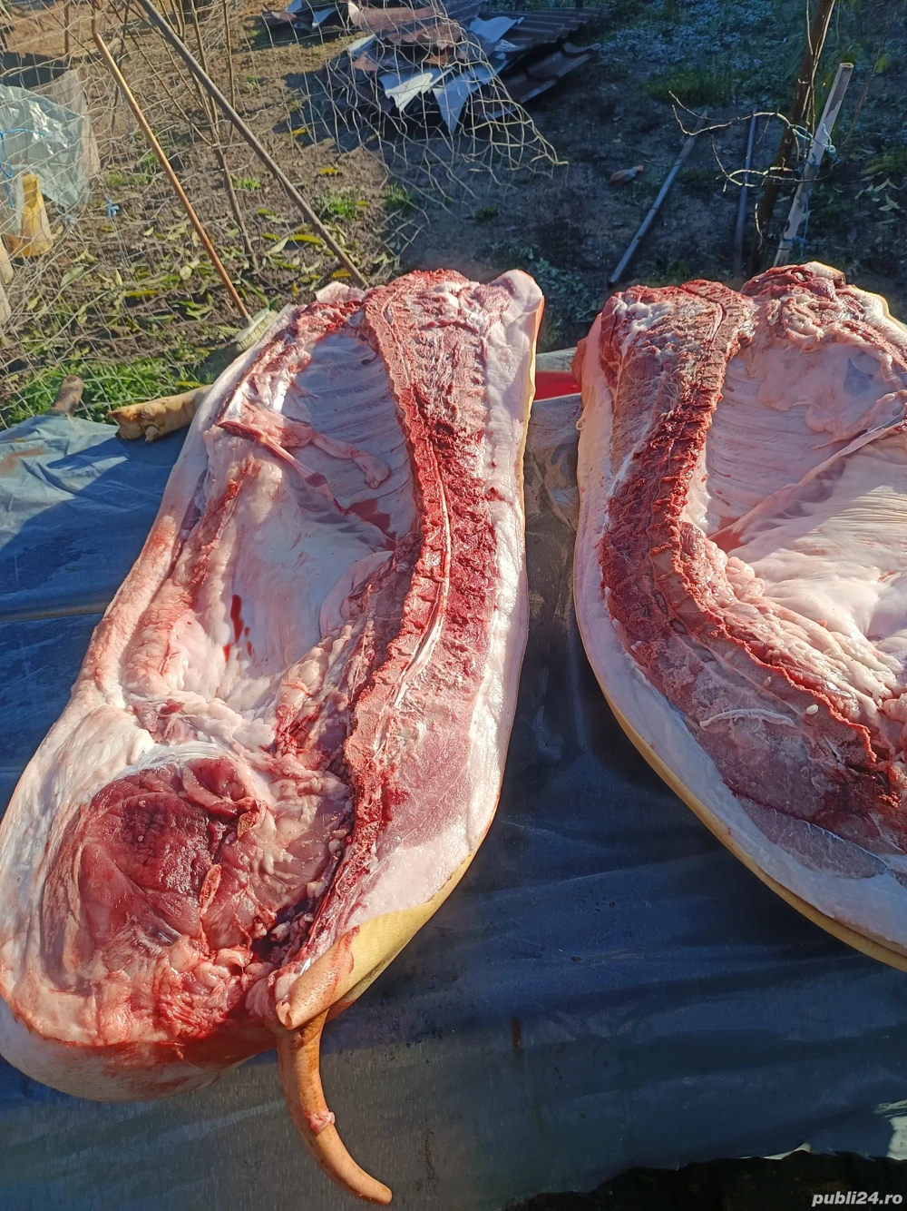 disponibil jumatate porc sau sfert