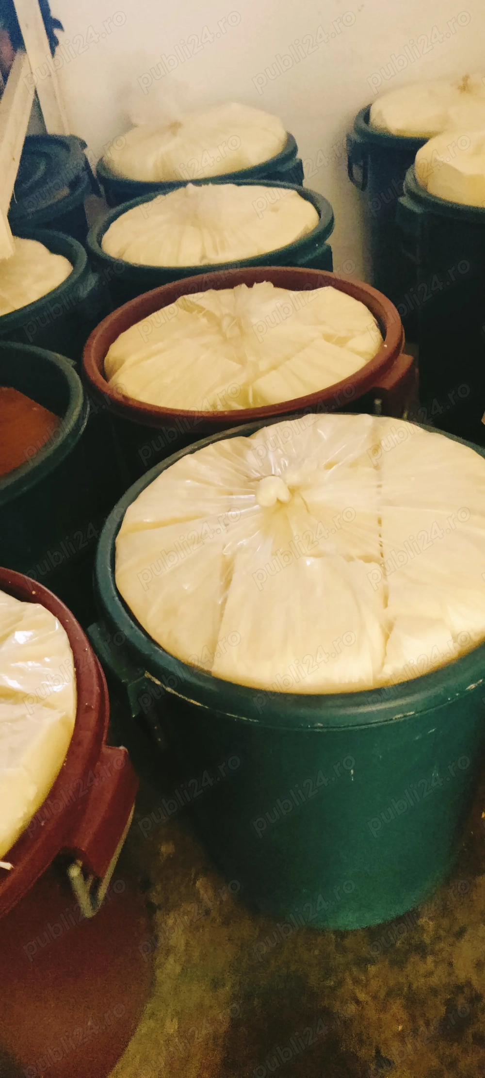 Vând brânză de oaie maturată