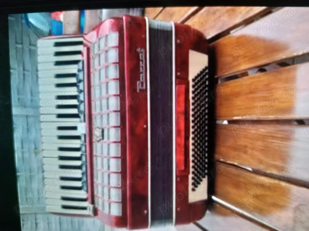 Acordeon Parrot 120 basi