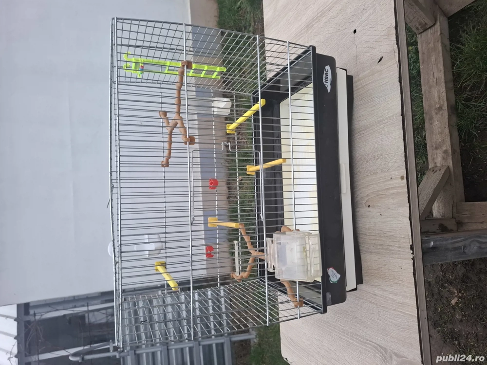 Colivie pentru 2 perusi