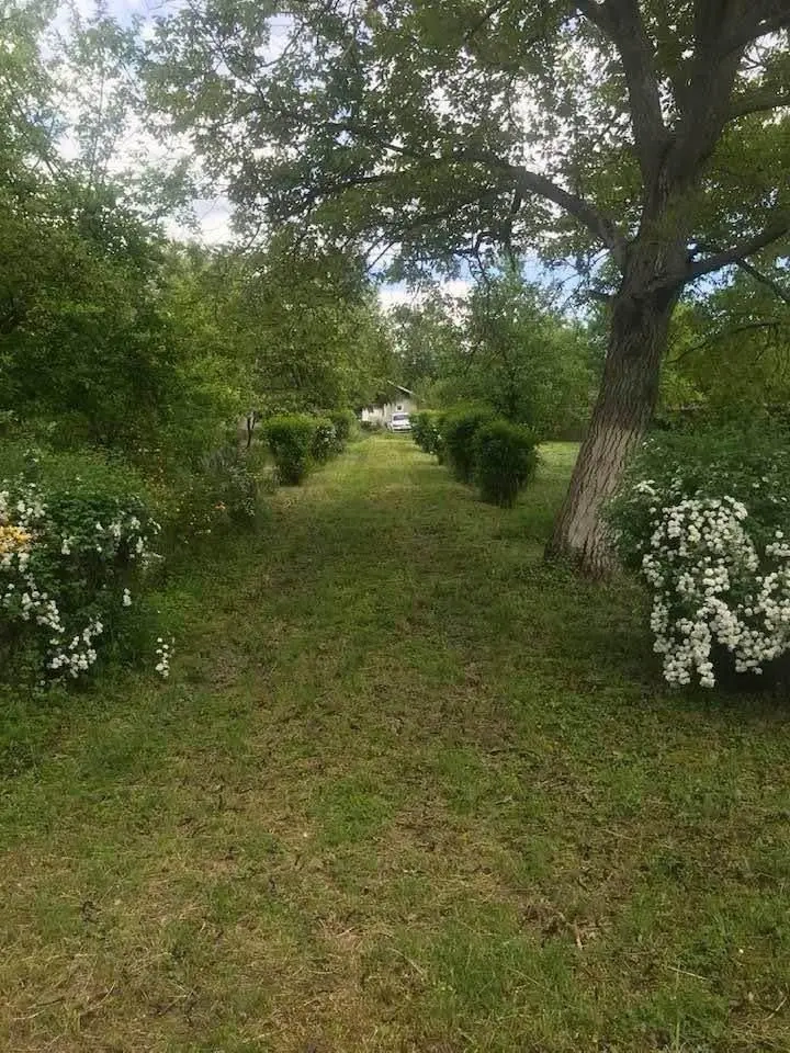 Trăiește la marginea pădurii! Casă, 3.200 mp curte + 2.000 mp PĂDURE proprie în Apostolache!  