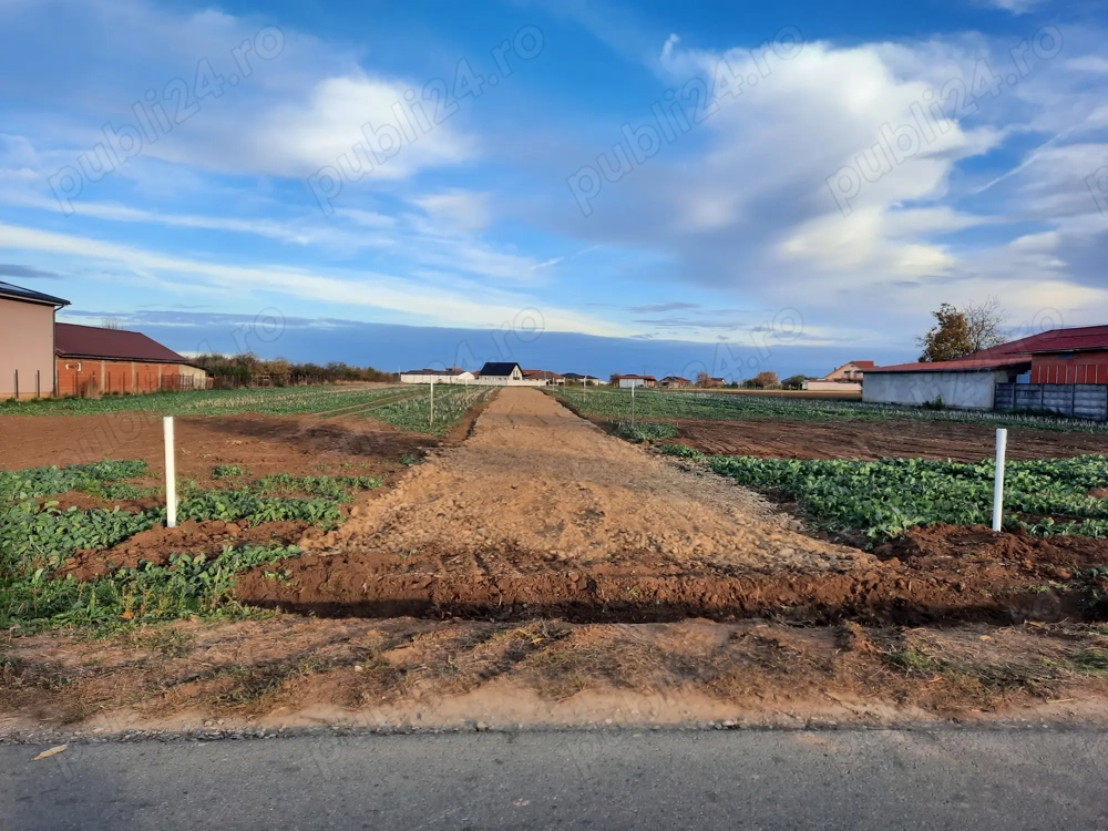 Parcele teren intravilan de vânzare 