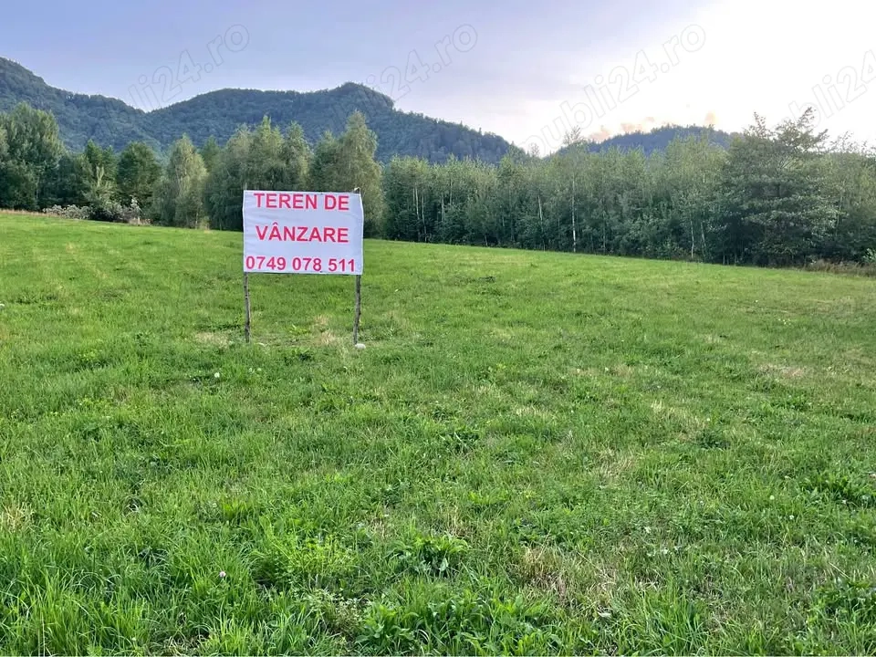 Teren intravilan Tohanita