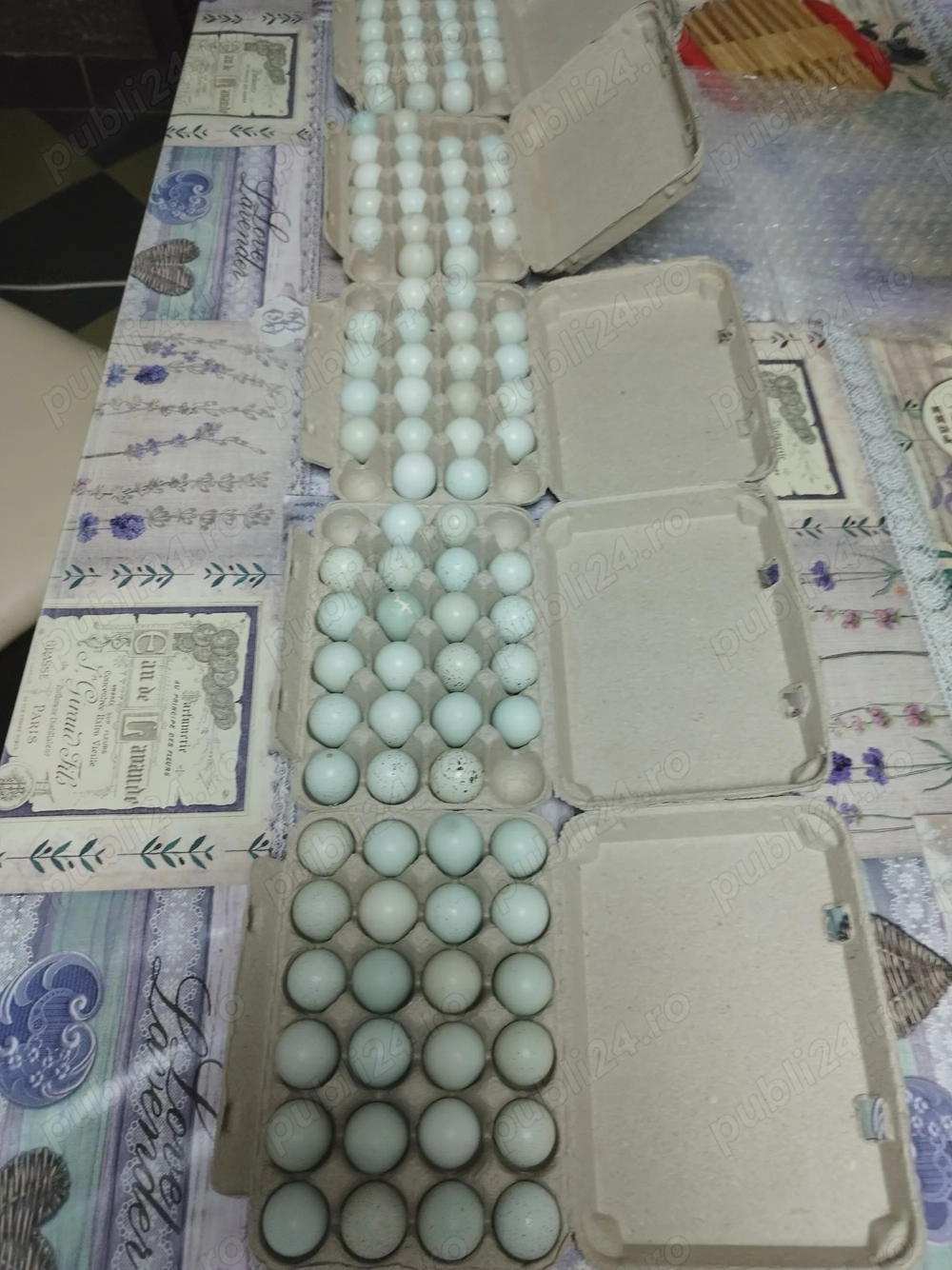 Oua pentru incubat de prepeliță celadon cu 1.5lei buc 