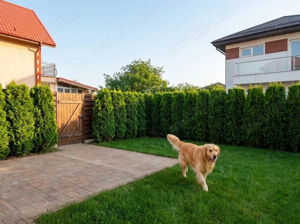 Utimele 5 vile disponibile-Vila 5 camere Ciorogarla, toate utilitatile FINISATA