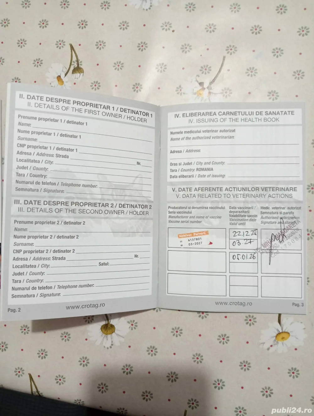 bichon metis de vanzare