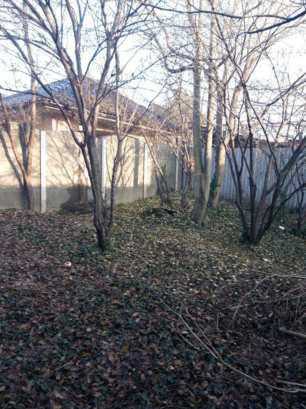 casa Iosefin