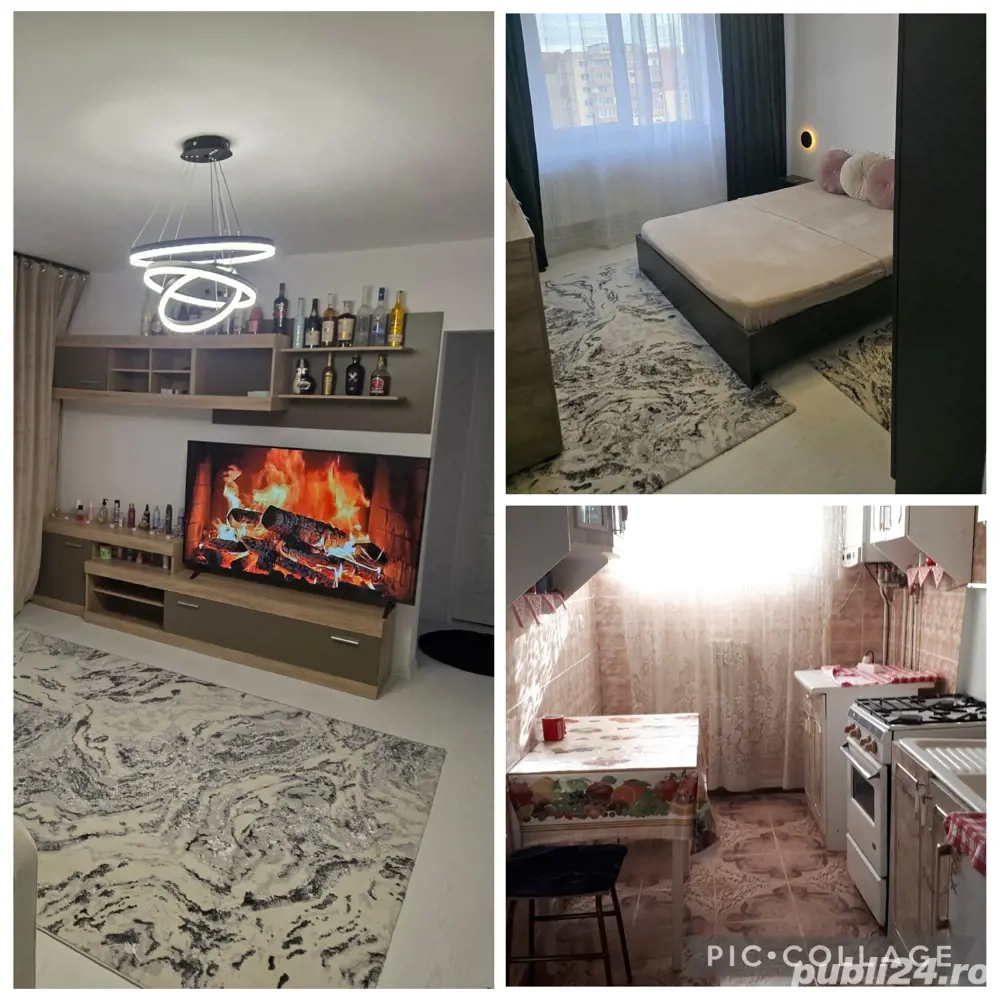 Renovat Total 2025.2 Camere Micro 3 Mobilat Utilat