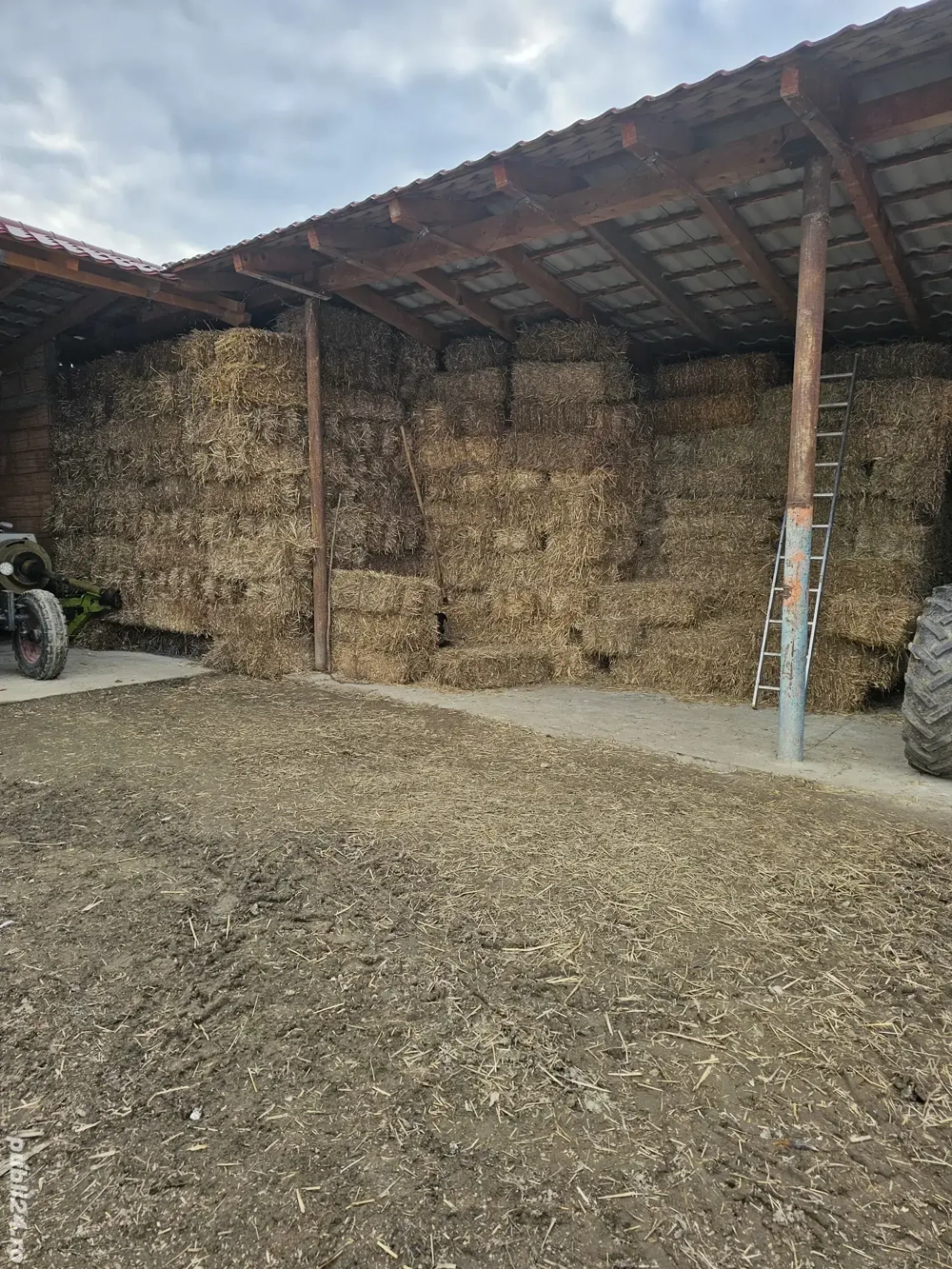 Vând Baloți de PAIE 