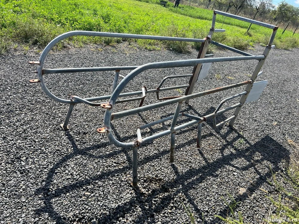 Boxa fătare scroafă 