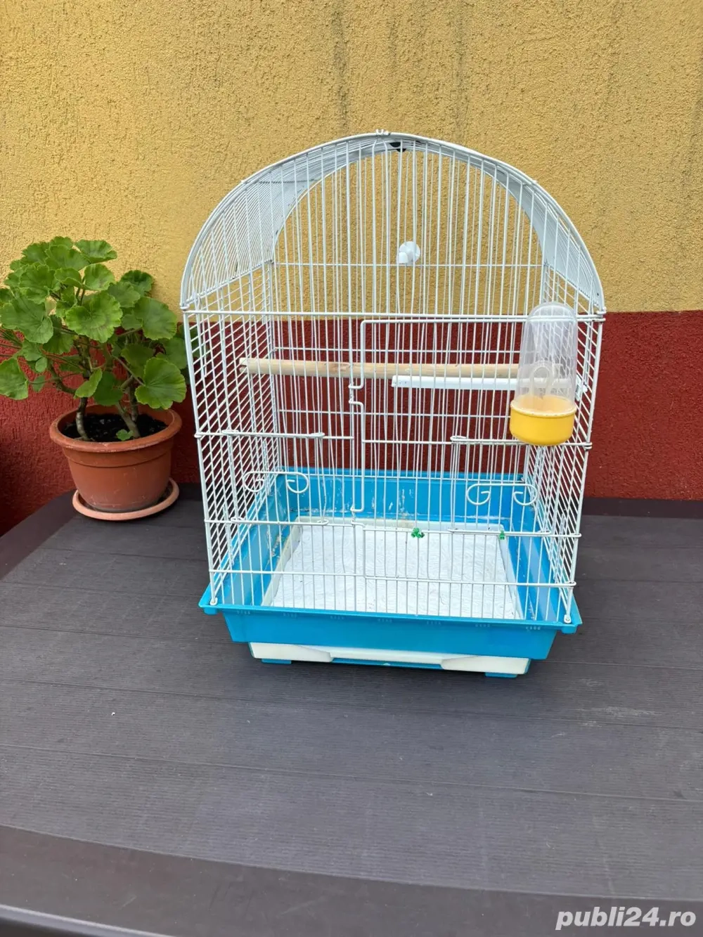 Vand Colivie pt Pasari