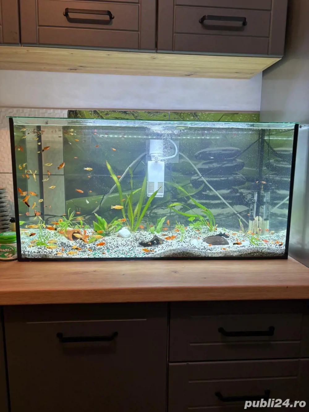 Vand Acvariu de 120 Litri Complect