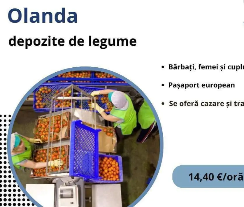 Angajam.in decembrie 