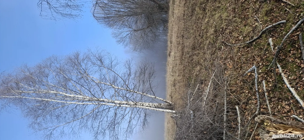 vând teren extravilan 2.5  negociabil 