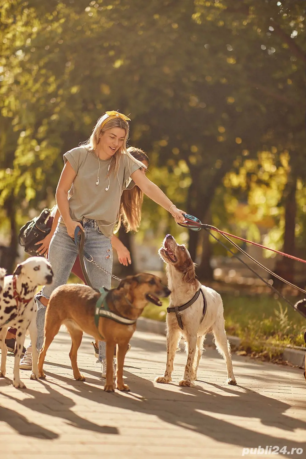 Servicii complete ingrijire animale de companie. Pet sitter Timisoara.