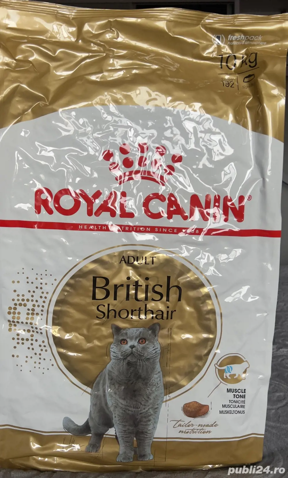 Hrana uscata Royal Canin British Shorthair Adult 10kg