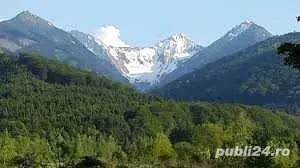 vand padure in satul Vistisoara, comuna Vistea 2,5 ha si in satul Vistea de jos  4,00 ha 