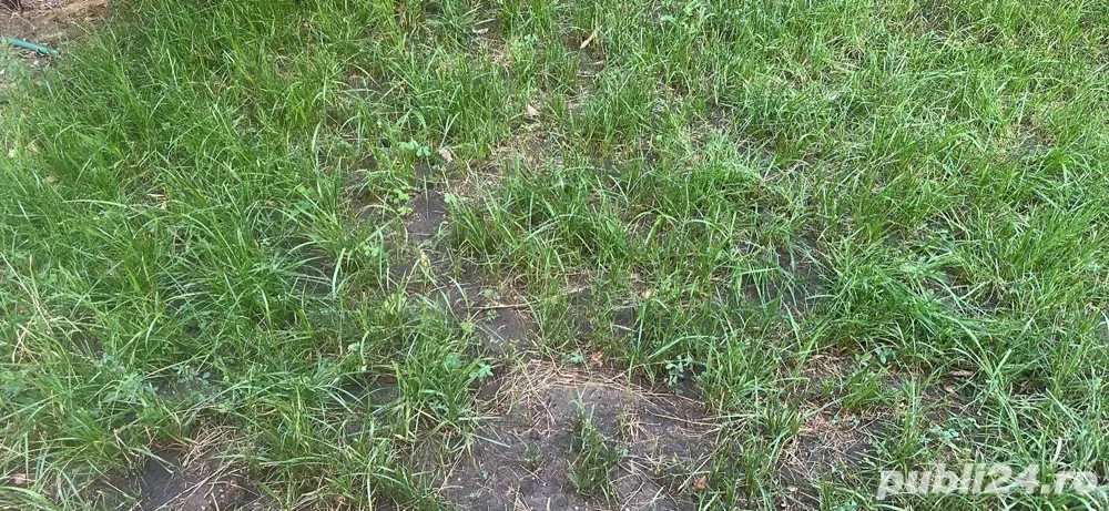 vand teren arabil intravilan