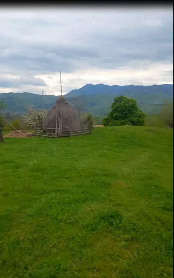 Vand teren 25000 mp Berislavesti, sat Radacinesti punct Dealul Boului