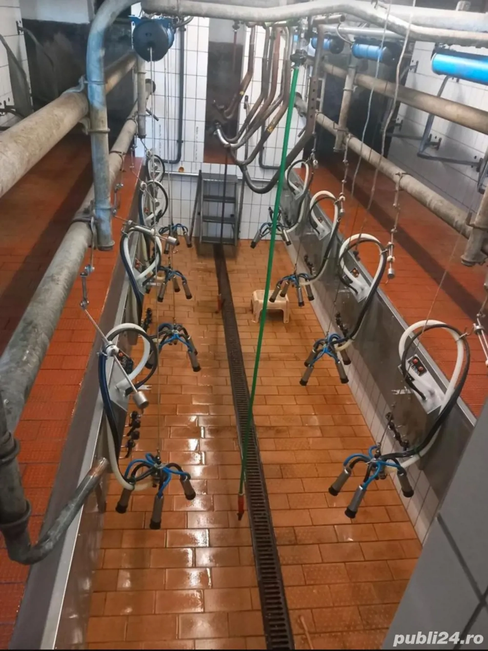 Vand sală de muls vaci 