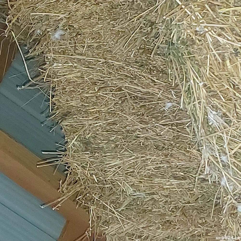 Vind baloti de lucerna 