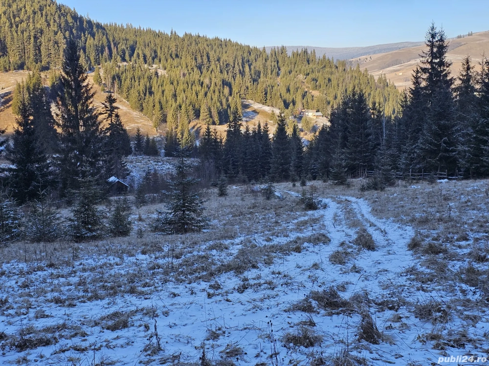 Teren extravilan de vânzare înconjurat de pădure in Bucovina zona Breaza