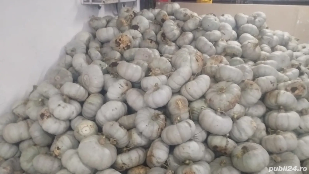 Dovleac dulce pt copt