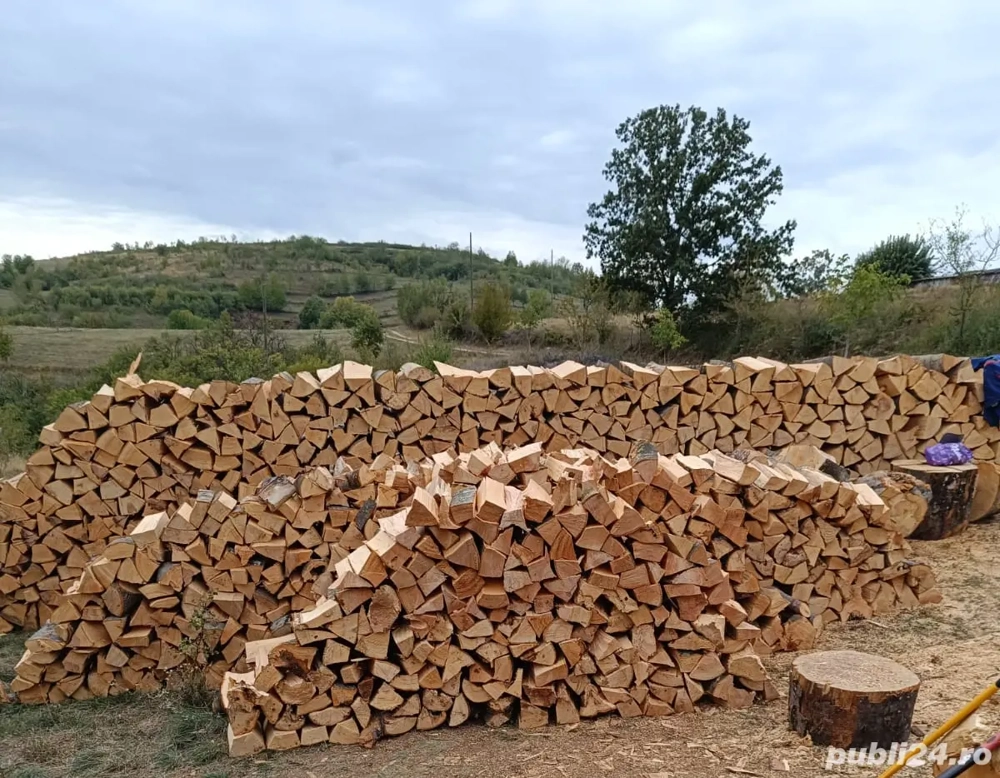 Gestionar   controlor calitate (material lemnos)