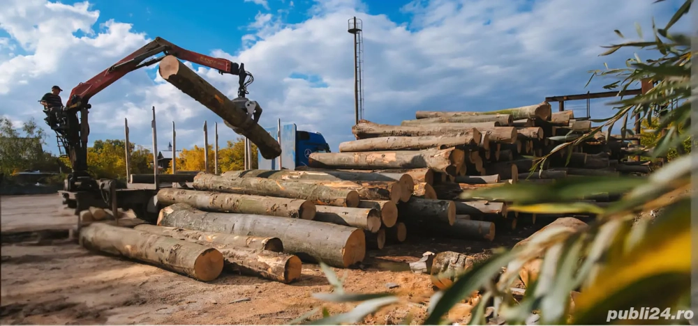 Angajam sofer macaragiu forestier   Transport si manipulare material lemnos