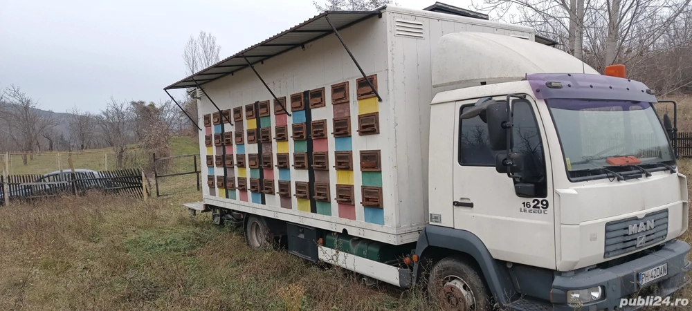 camion apicol Man 12 tone