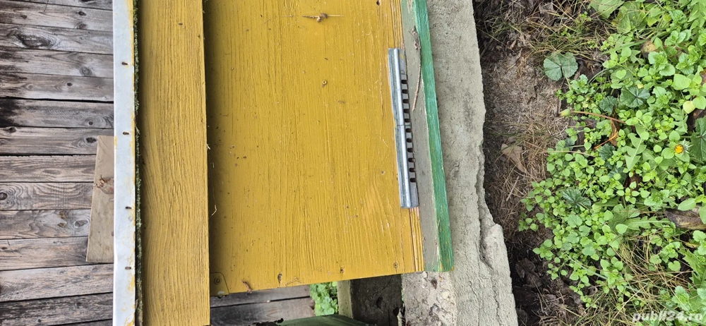 Stupi de albine cu rame