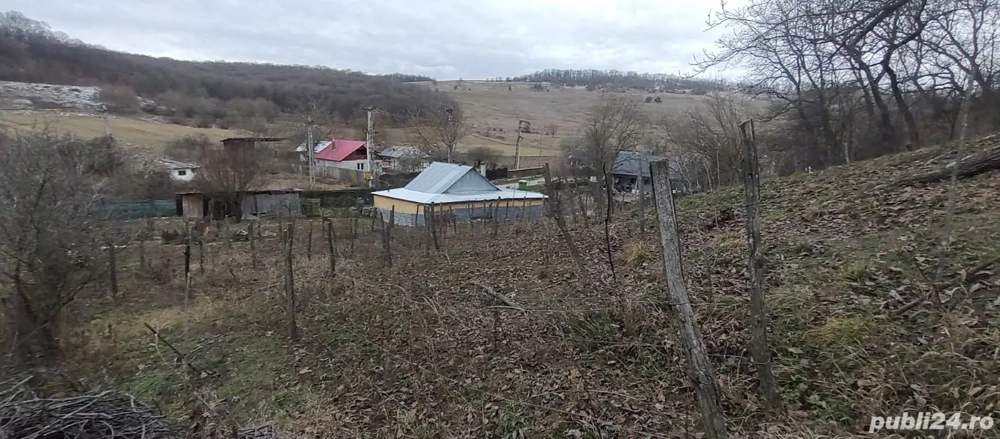 Teren de vânzare județul Bacău