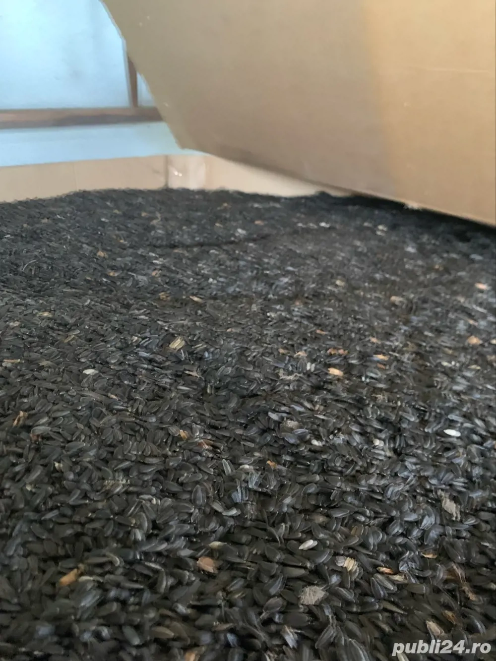 vand floarea soarelui 