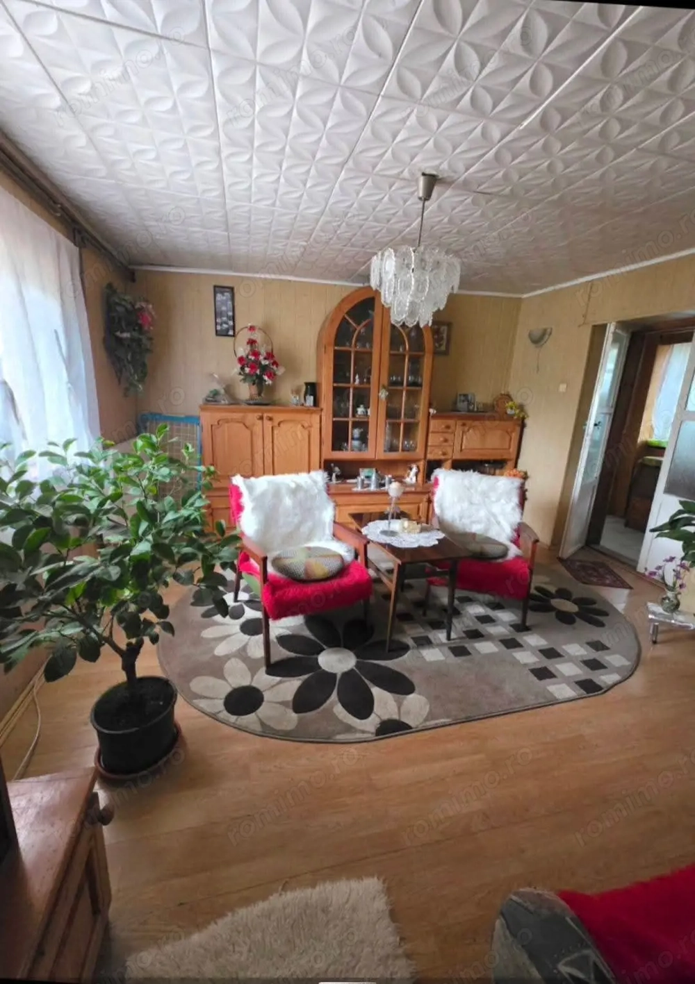 Teren 6762 mp +casa Les