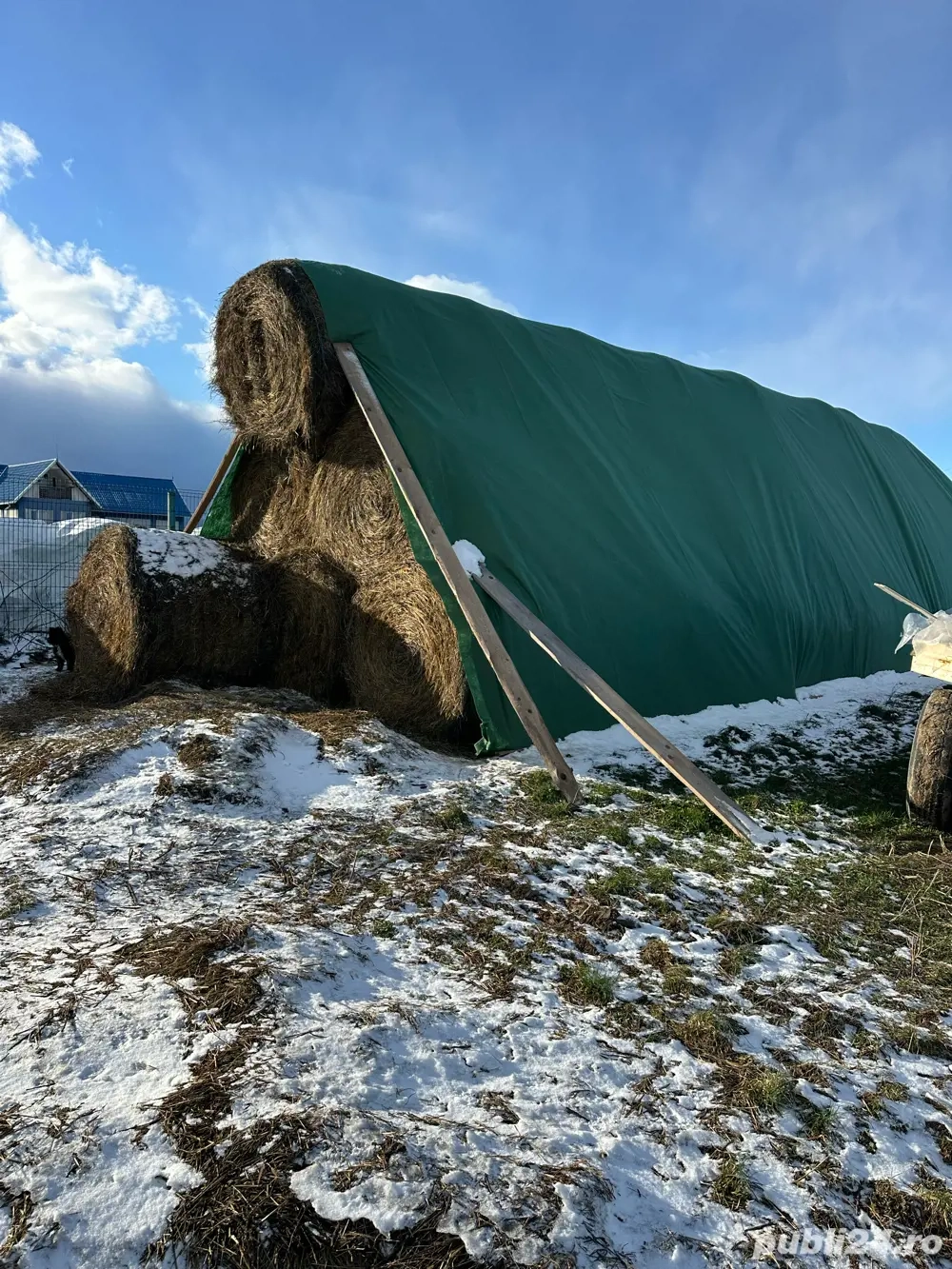 Baloti lucerna de vânzare