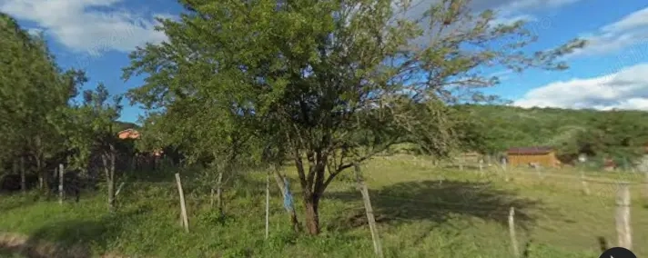 Călcești-Arjoci, Gorj   Teren intravilan 5.000 mp cu ieșire la DN 672   arendă