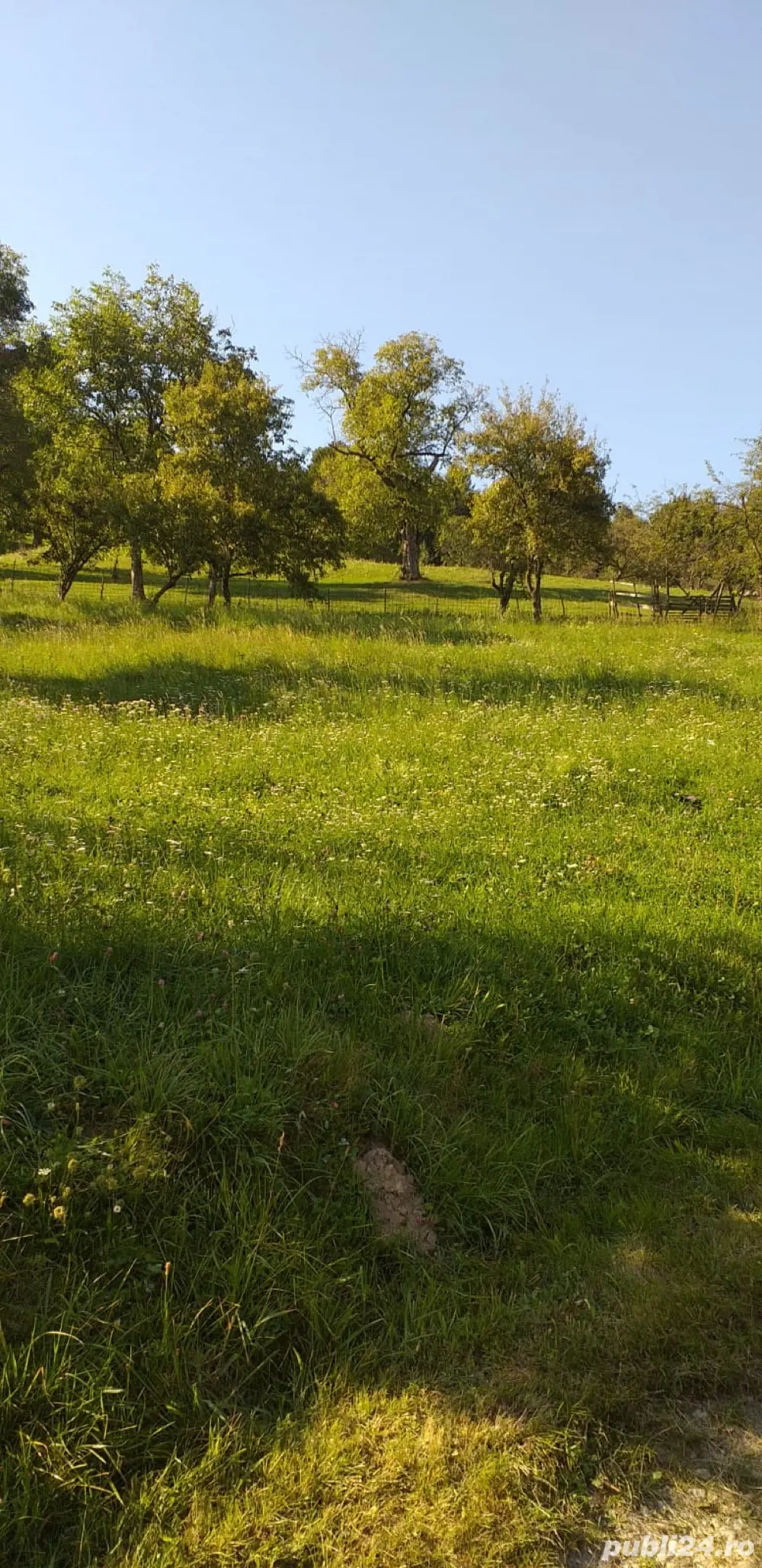 Teren Moieciu de Jos