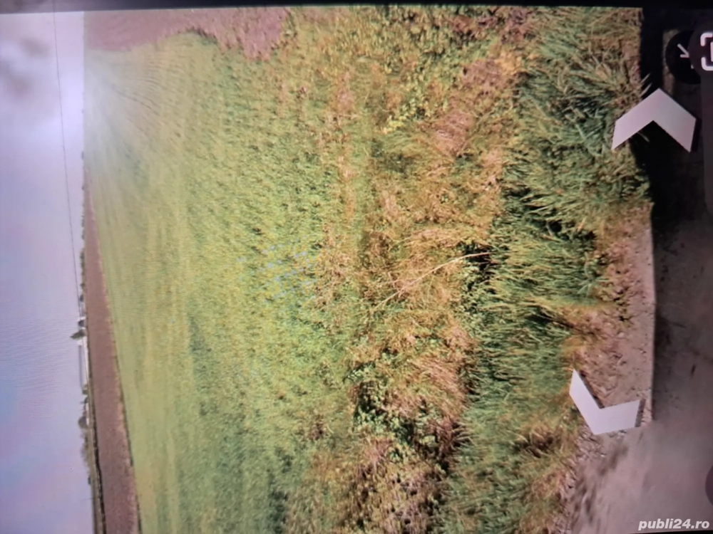 Vând 5600mp teren constructii investiții 