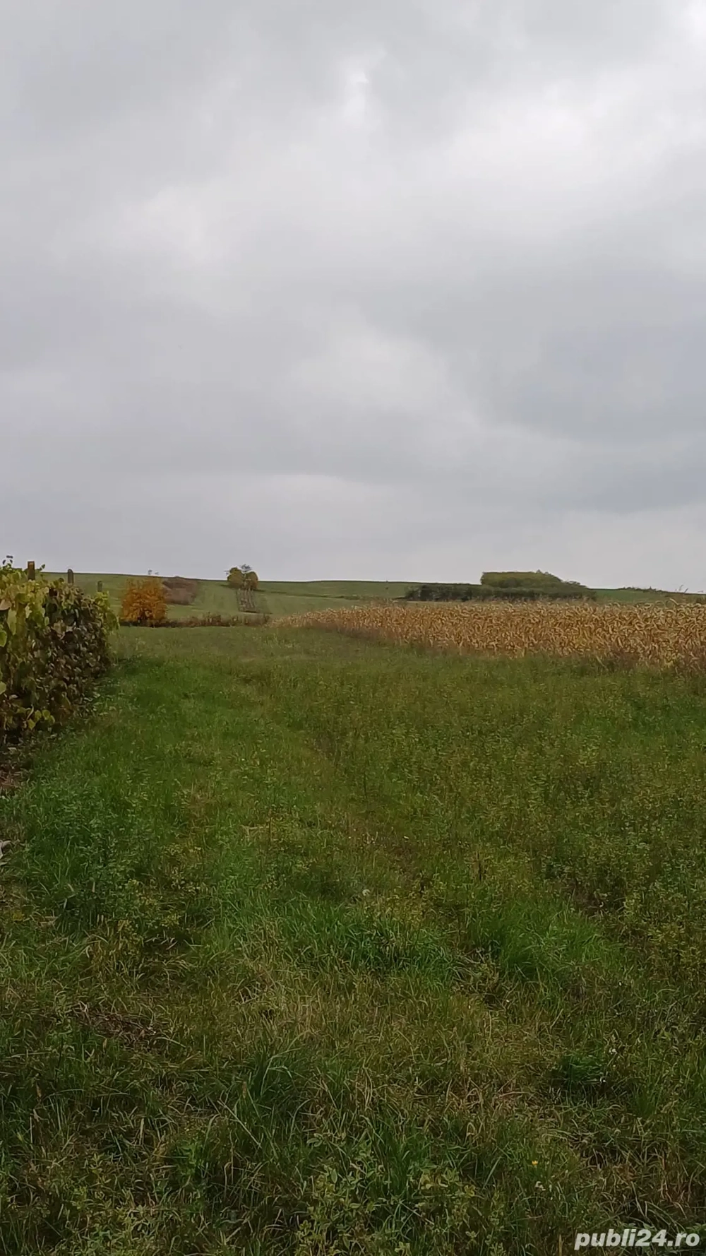 teren de vanzare 4800m 