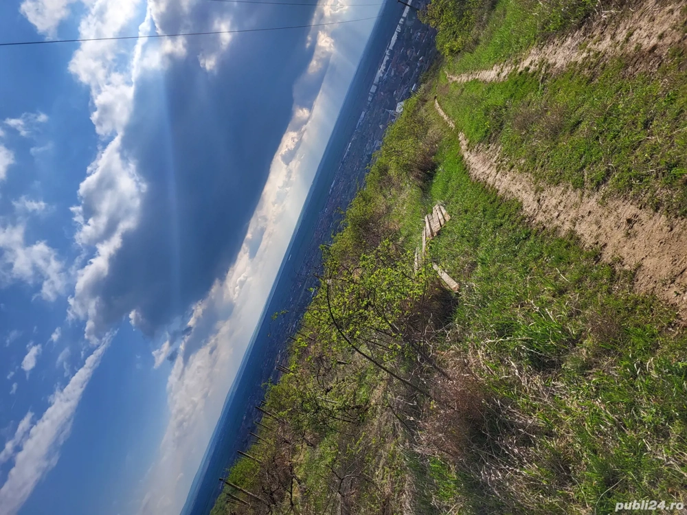 Teren intravilan 3600 mp Valea Domneasca, Ghioroc