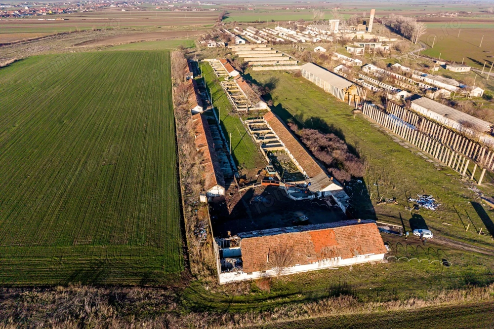 Ferma 1.15 HA lângă DN7 & Autostrada E68 – Nădlac | clădiri+utilități