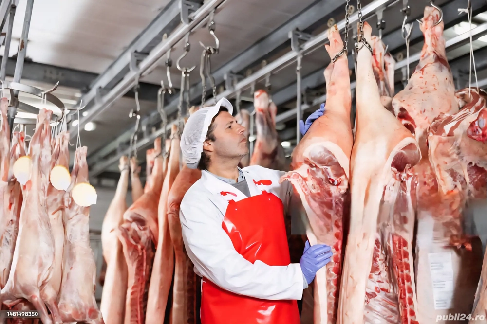 locuri de muncă la fabrica de carne în Germania 
