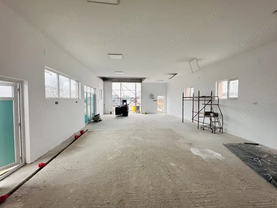 Hala industriala Sos Alexandria stradala 350 mp, 1200 mp parcare