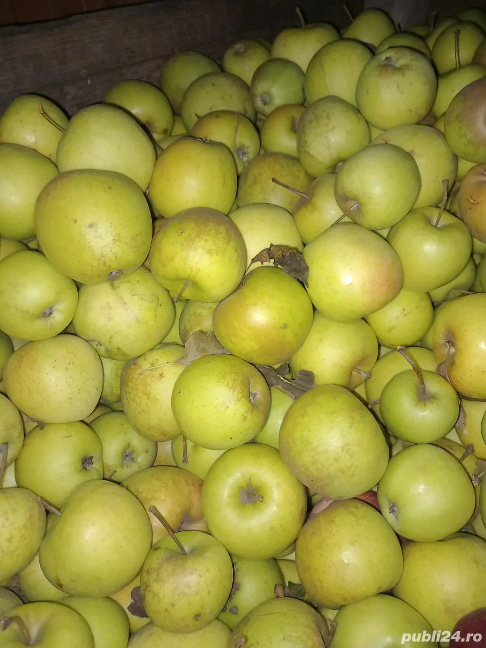 Vand mere golden en gros