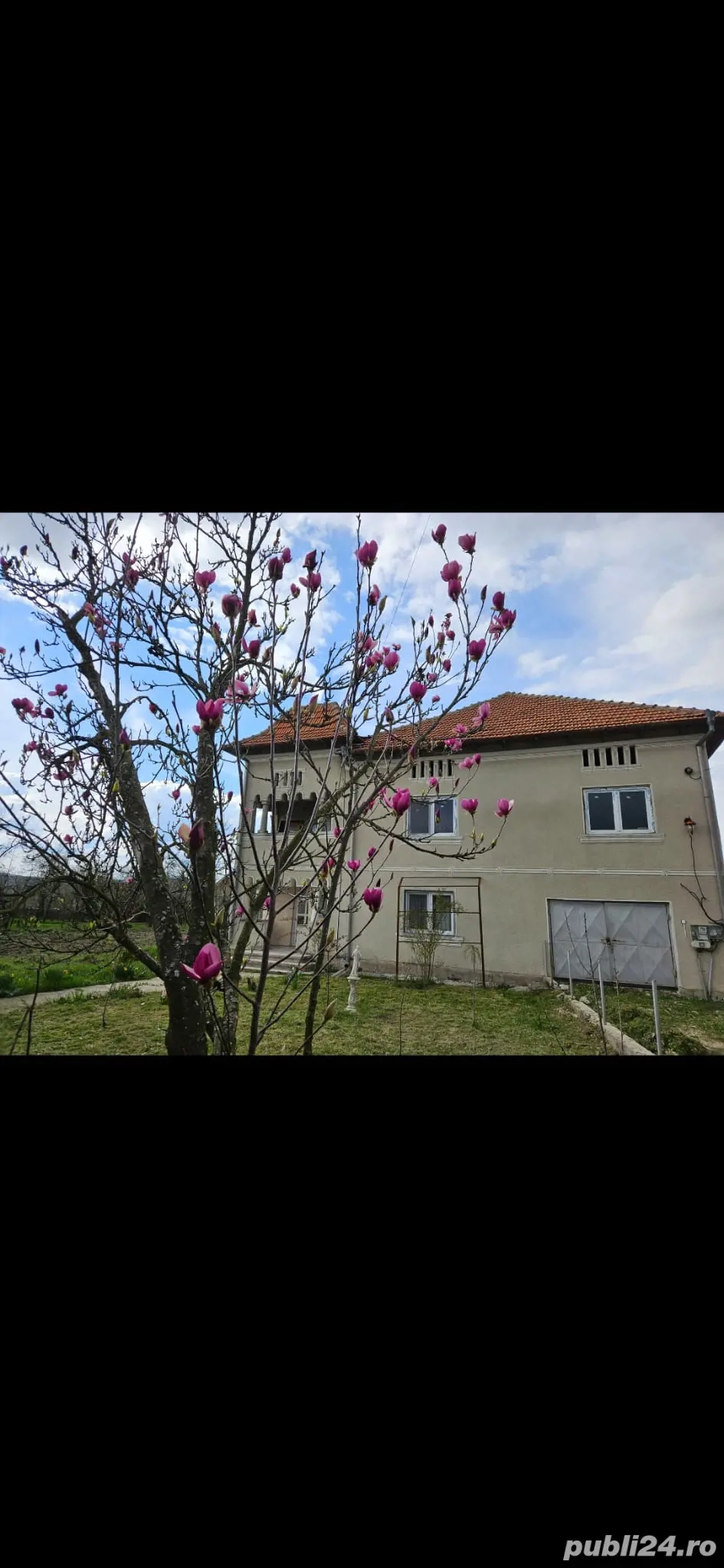 Case de vanzare Sinesti