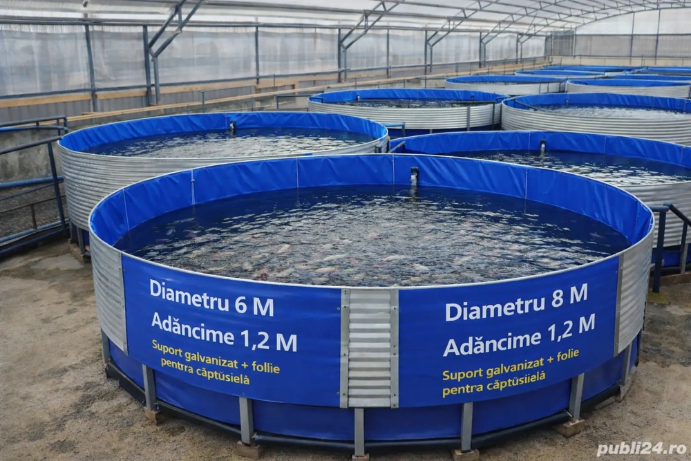 Vând bazine circulare cu diametrul de 6 m și 8 m, 10m adâncime 1,20 m sau 1,5m