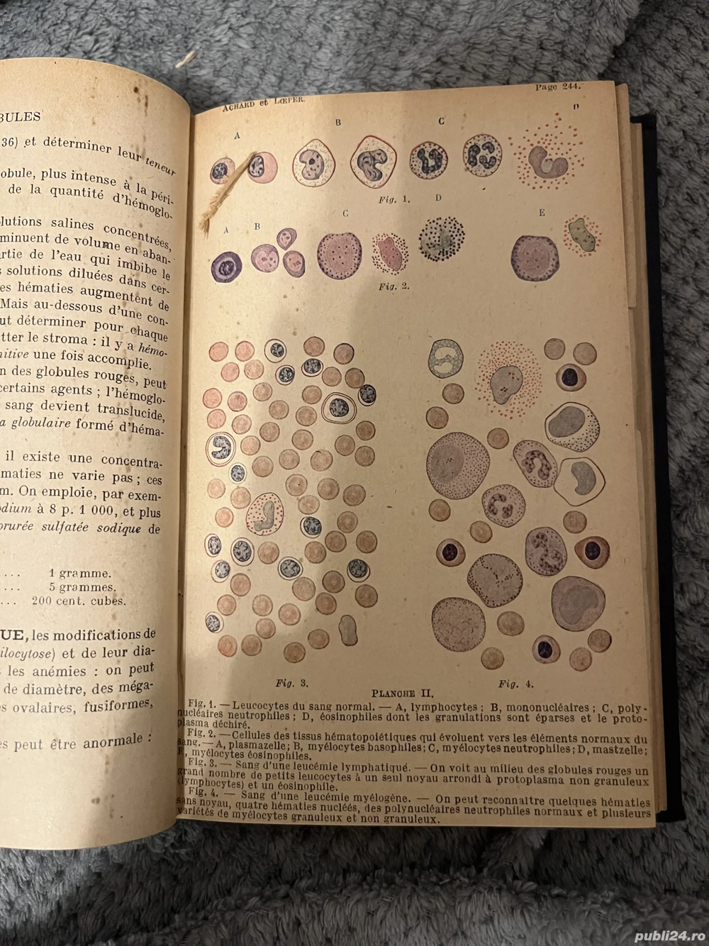 Precis d'analyse biologique clinique - Barral - Paris, 1931